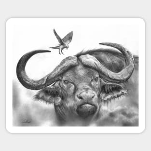 Warrior - Cape buffalo portrait Sticker